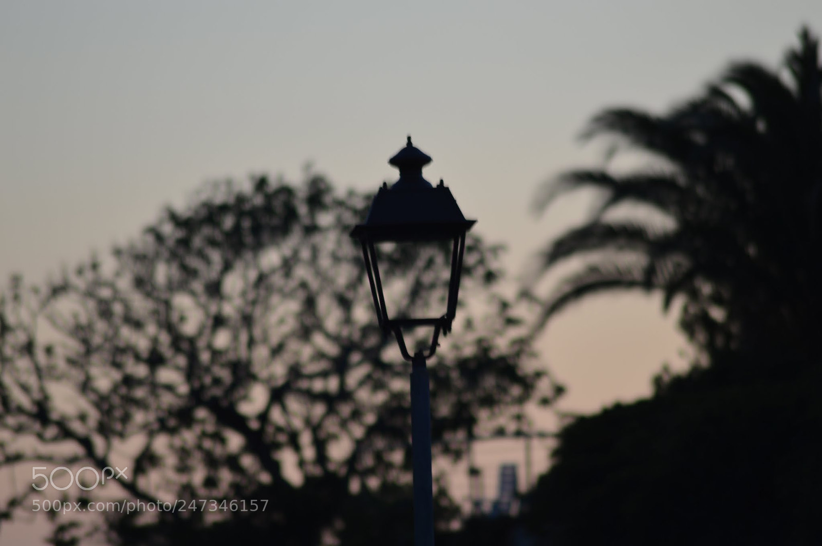 Nikon D3200 sample photo. Untitled photography