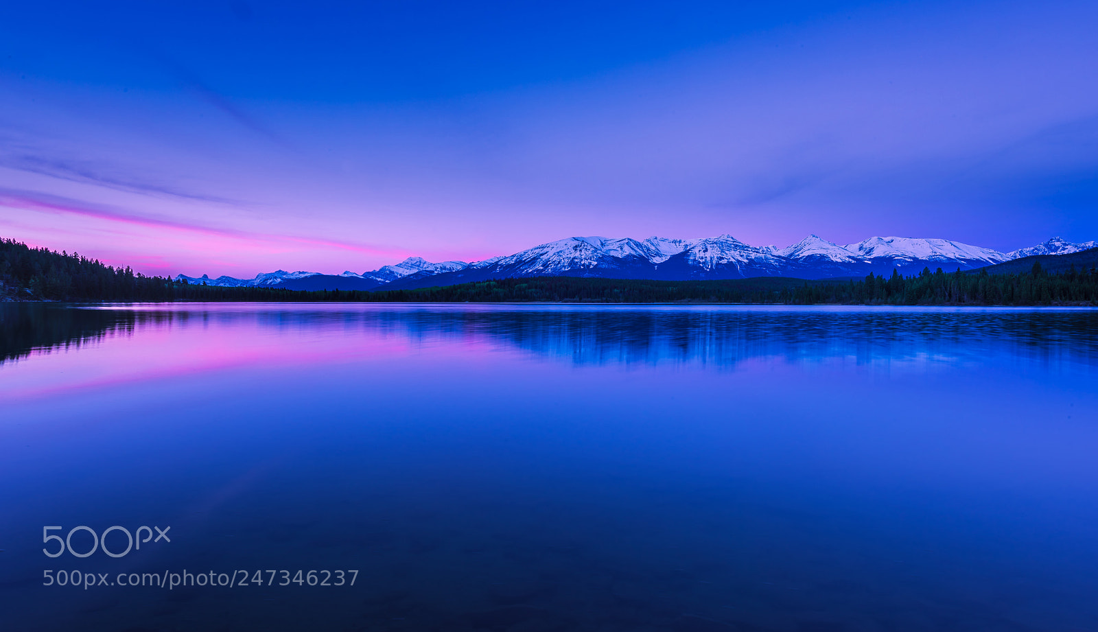 Nikon D810 sample photo. First light photography