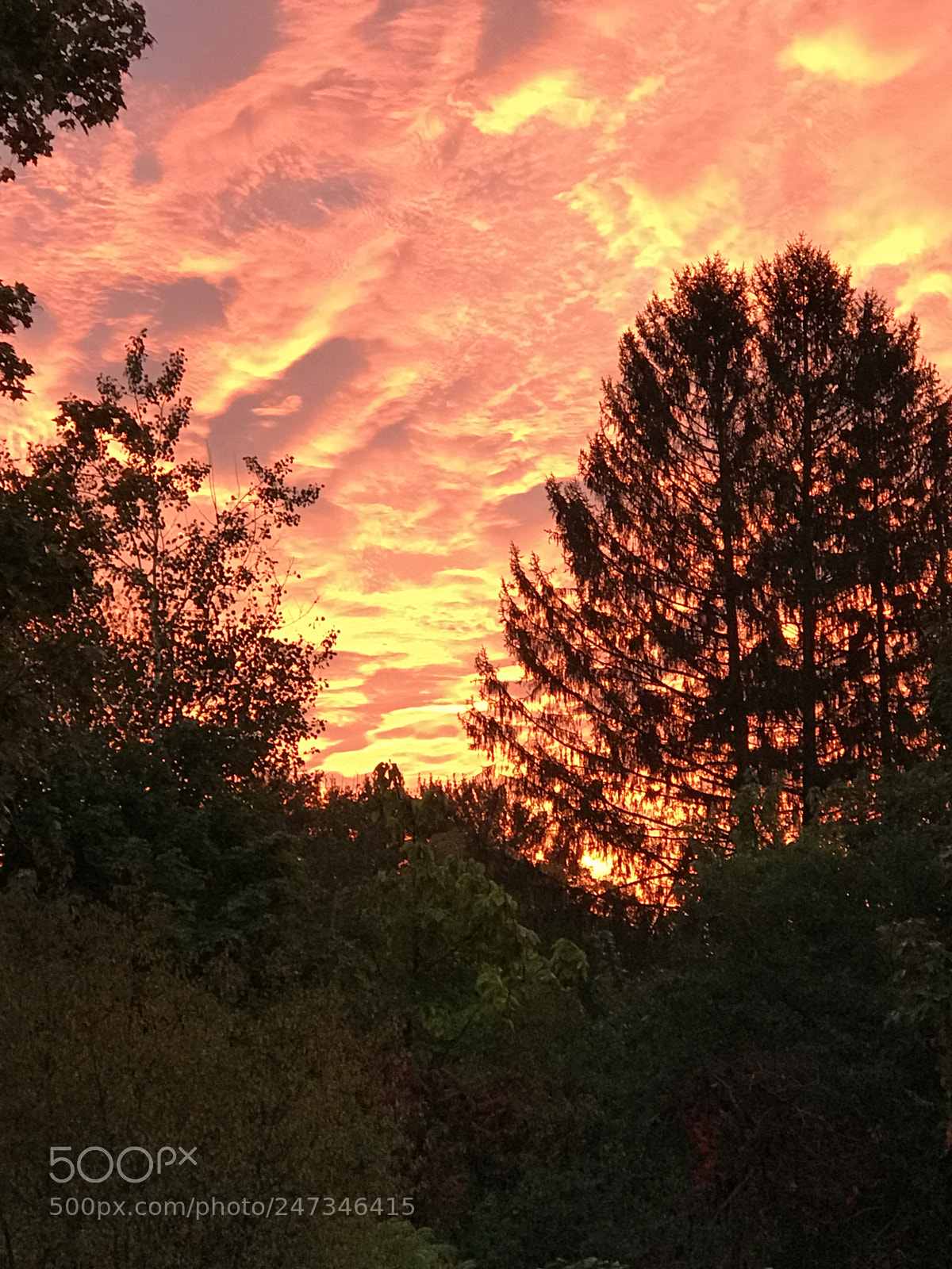 Apple iPhone 7 Plus sample photo. Morning sunrise photography