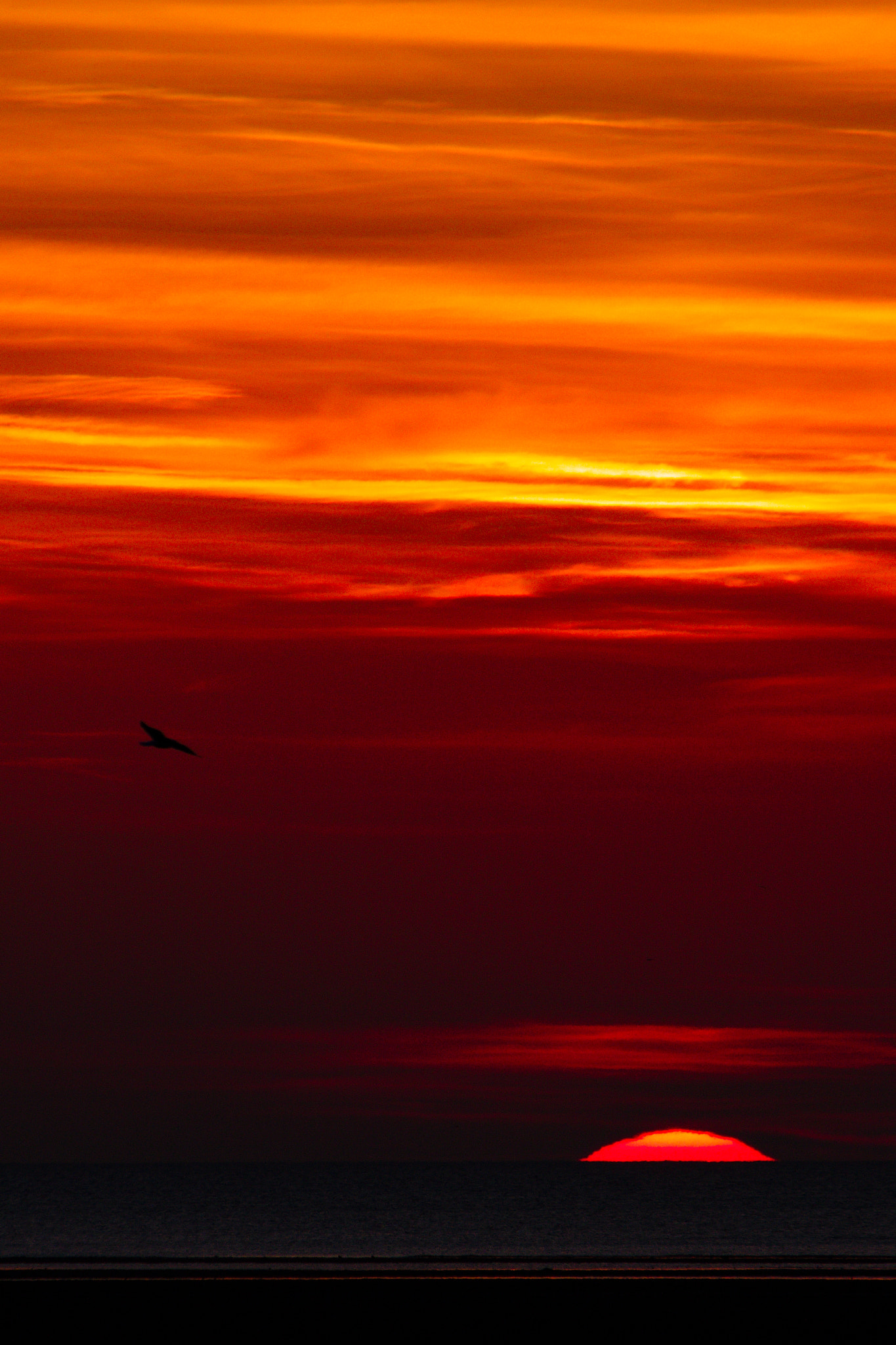 Canon EF-S 55-250mm F4-5.6 IS II sample photo. Sky... photography