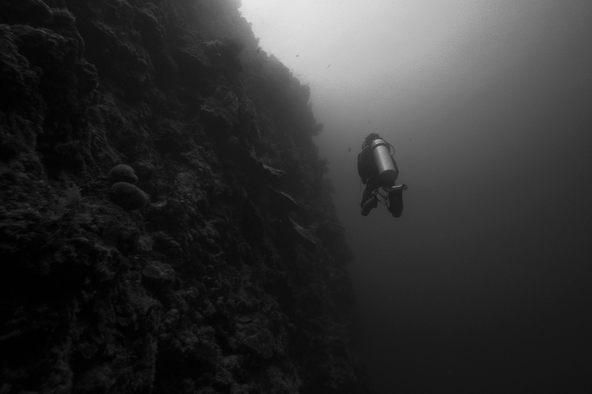 GoPro HERO4 Black sample photo. Diving photography