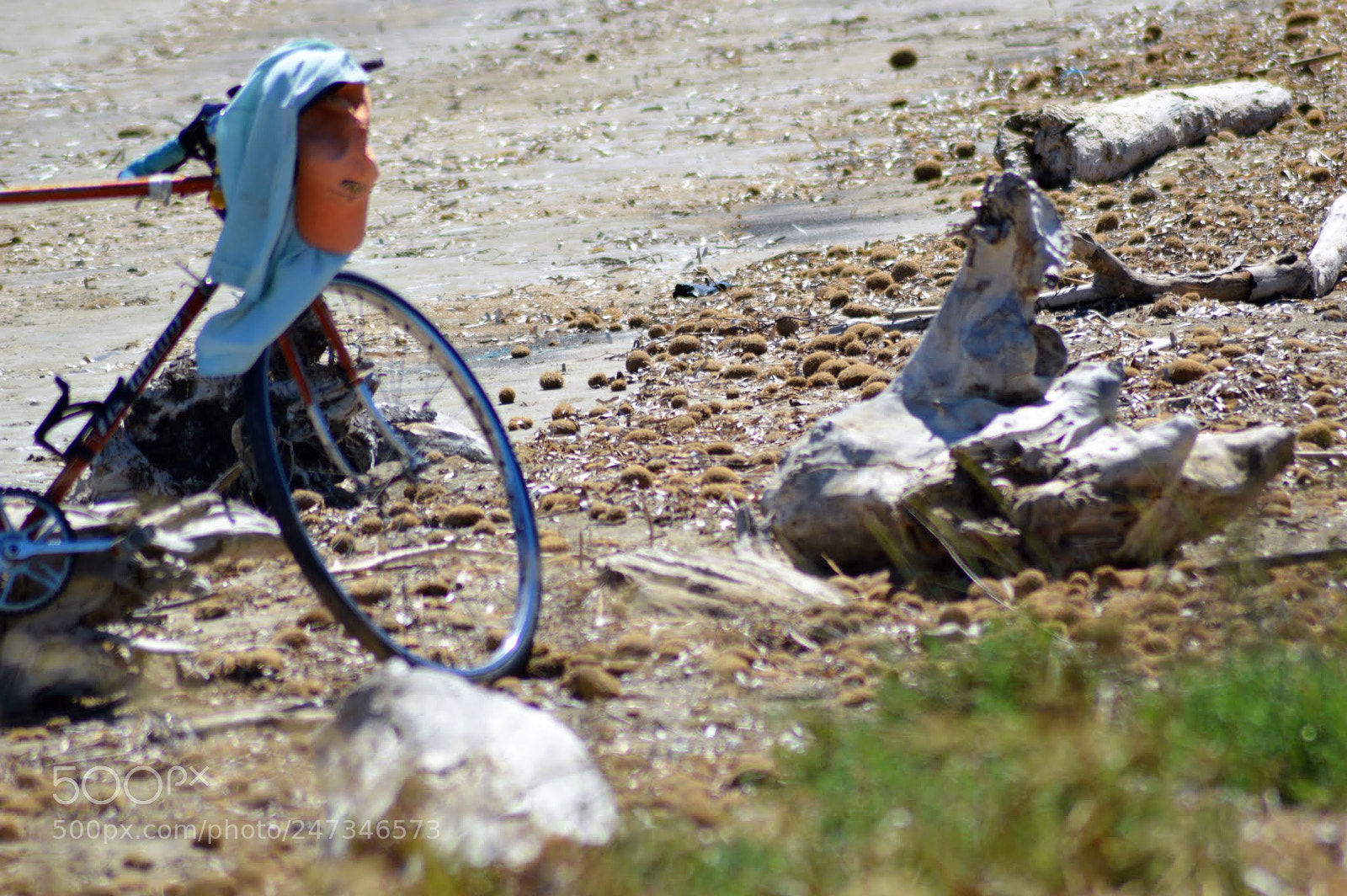 Nikon D3200 sample photo. Contrasti photography