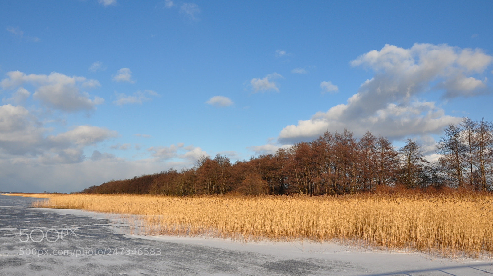 Nikon D90 sample photo. On a frosty day... photography
