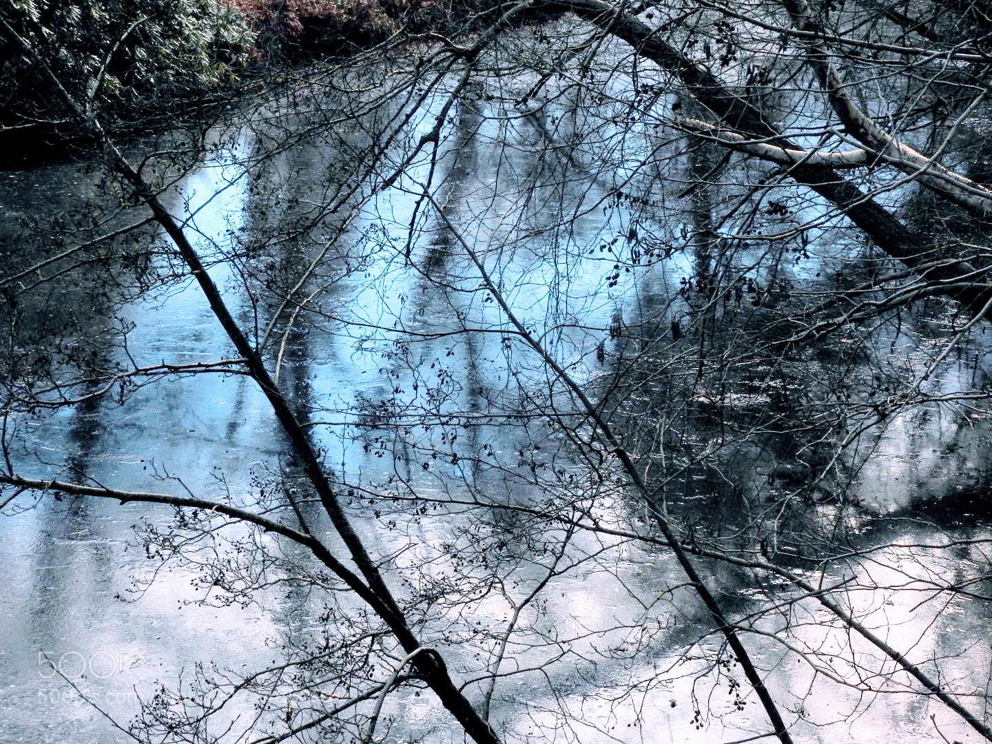 Nikon Coolpix P610 sample photo. Winter in tuimelaars bos photography