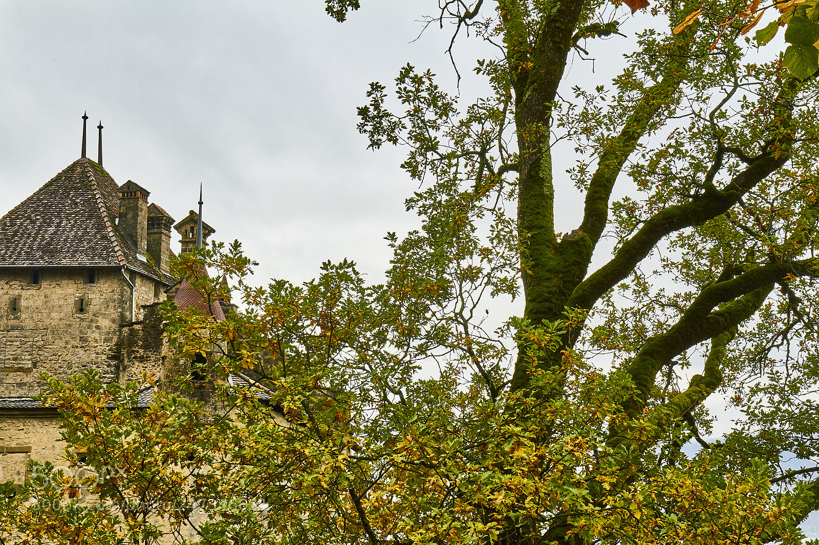 Canon EOS 7D sample photo. Avenue de chillon xii photography