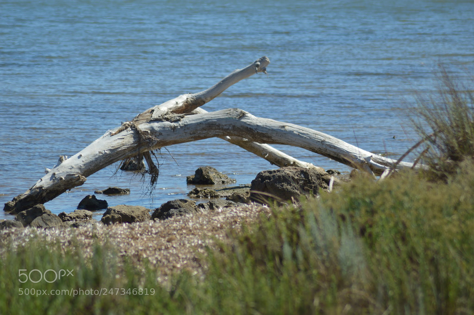 Nikon D3200 sample photo. Incantevole maremma photography