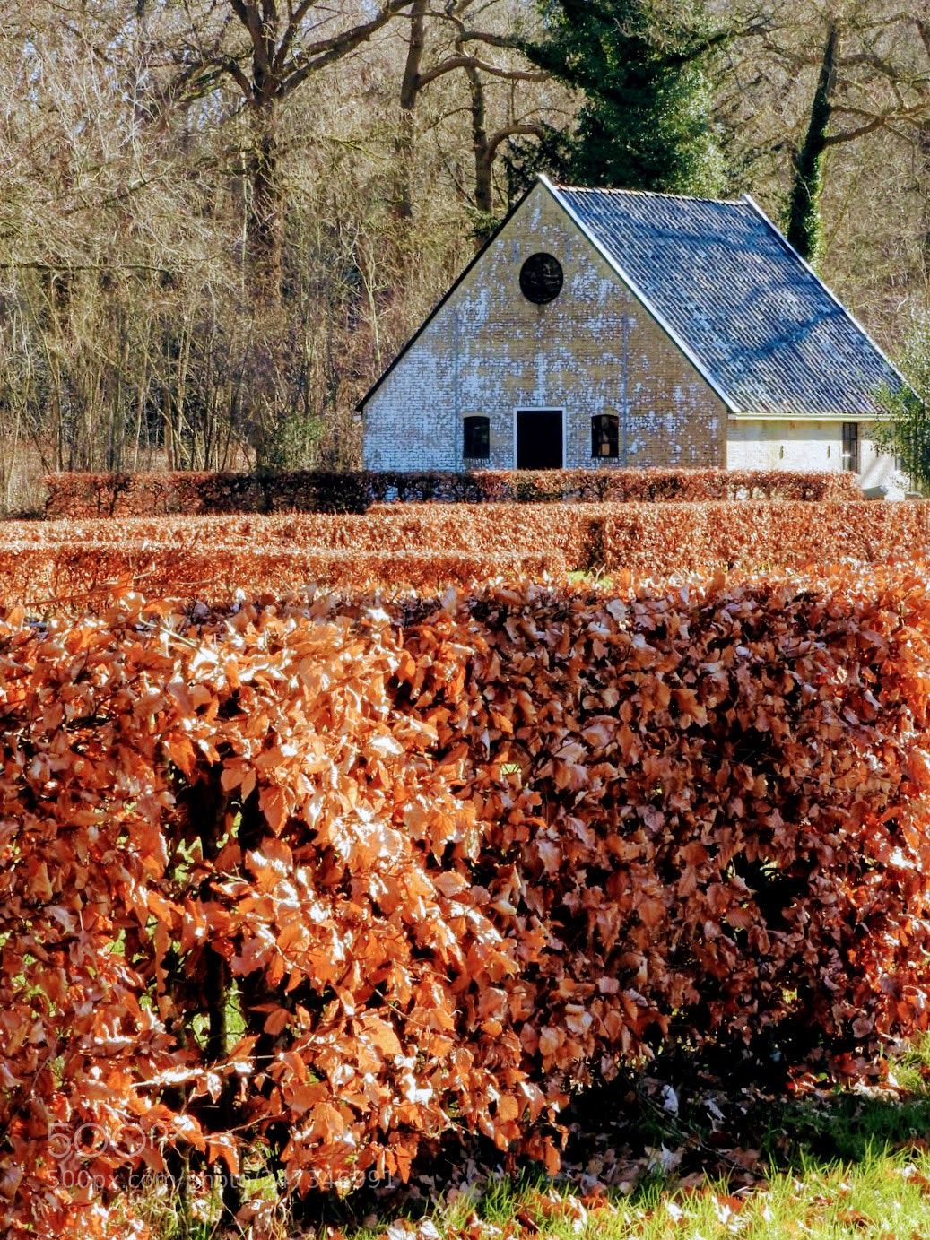Nikon Coolpix P610 sample photo. Tuimelaars bos photography