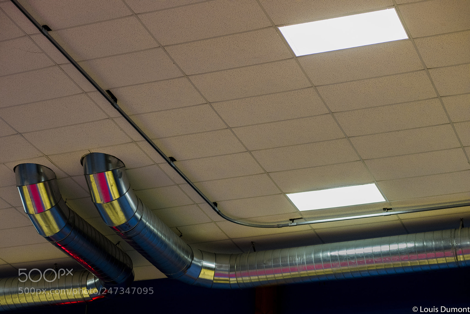 Nikon D810 sample photo. Gymd photography