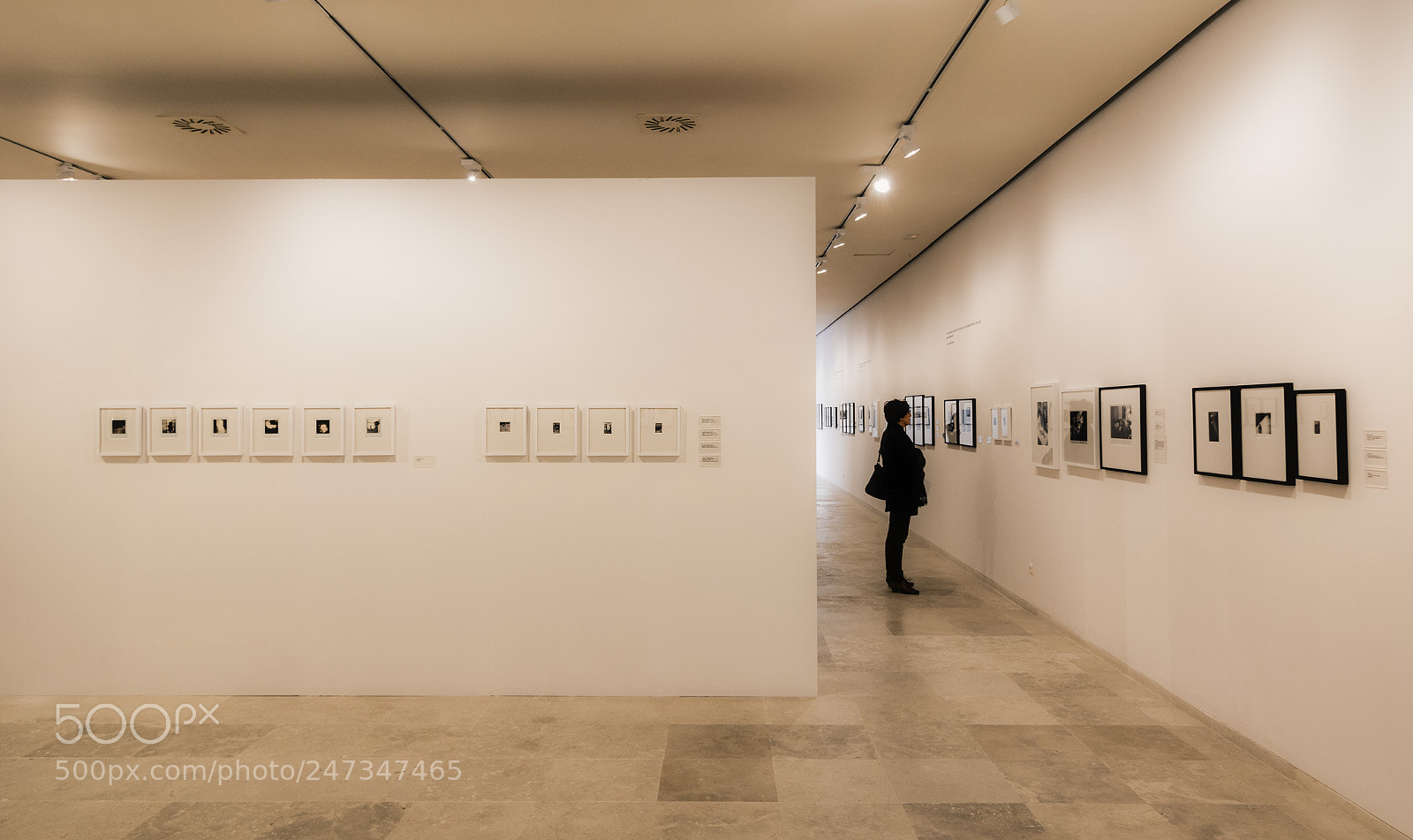 Nikon D7100 sample photo. Museo photography