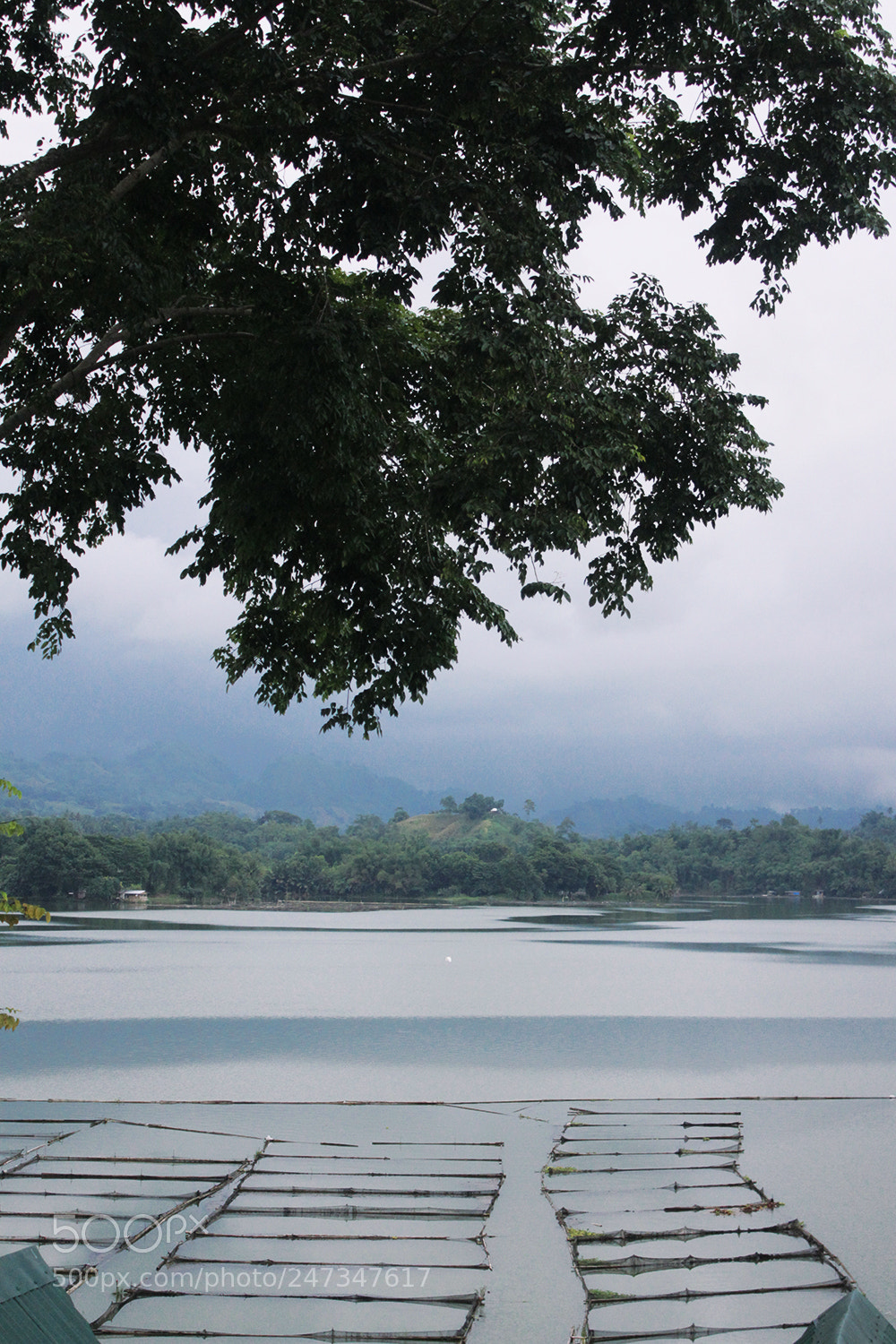 Canon EOS 7D sample photo. I lake you. photography