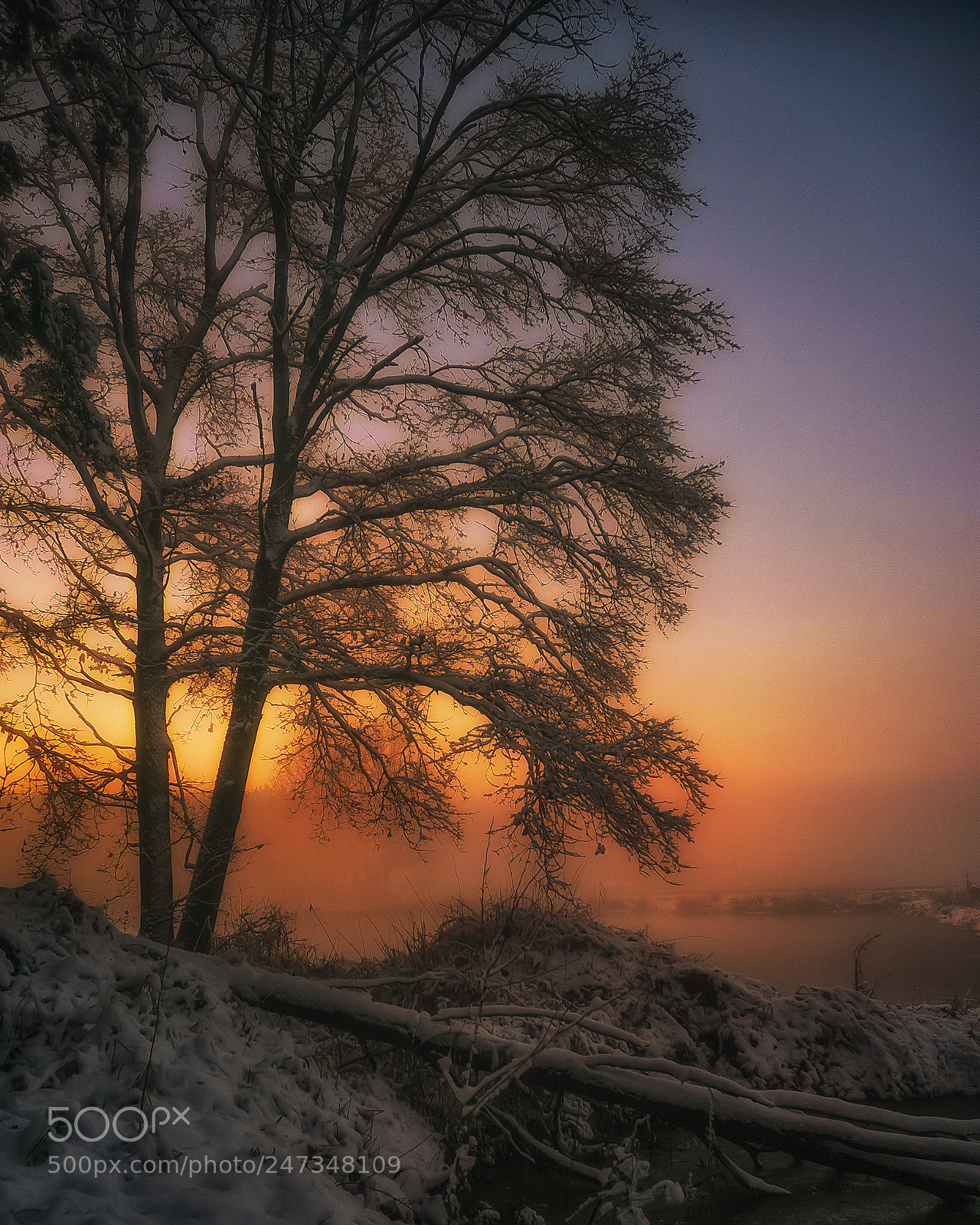 Sony Alpha NEX-5T sample photo. Winter sunset photography