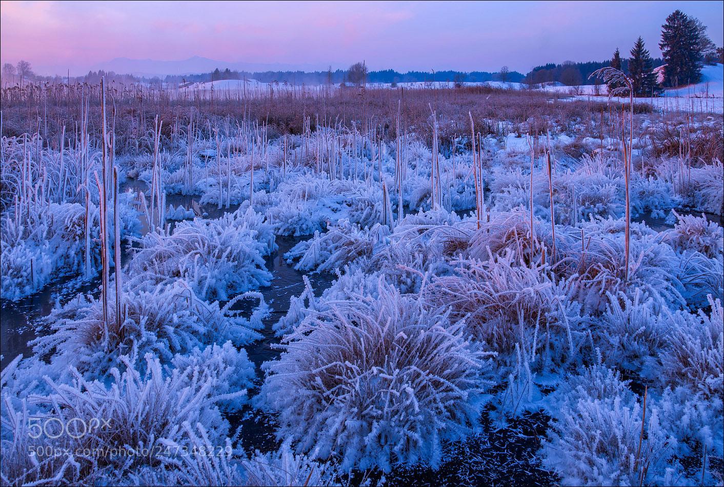 Nikon D90 sample photo. °°° iceage °°° photography