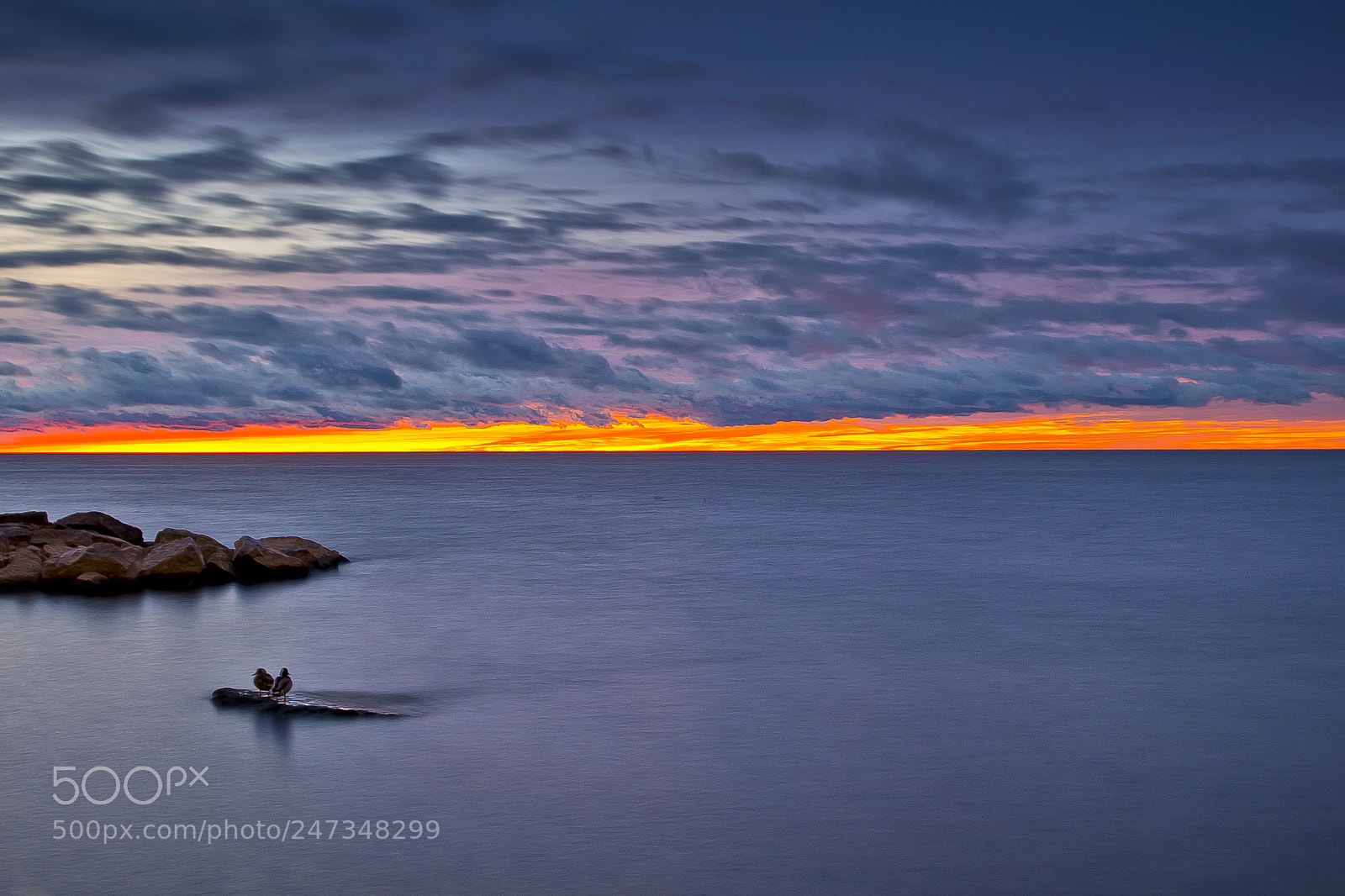 Nikon D800 sample photo. Blue hour photography