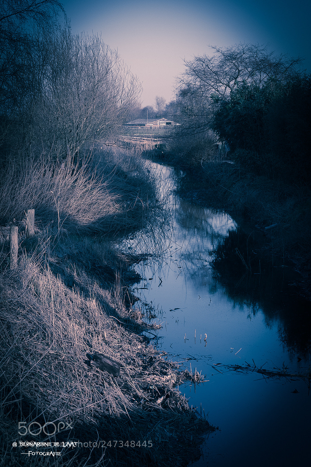 Nikon D7100 sample photo. At the end photography