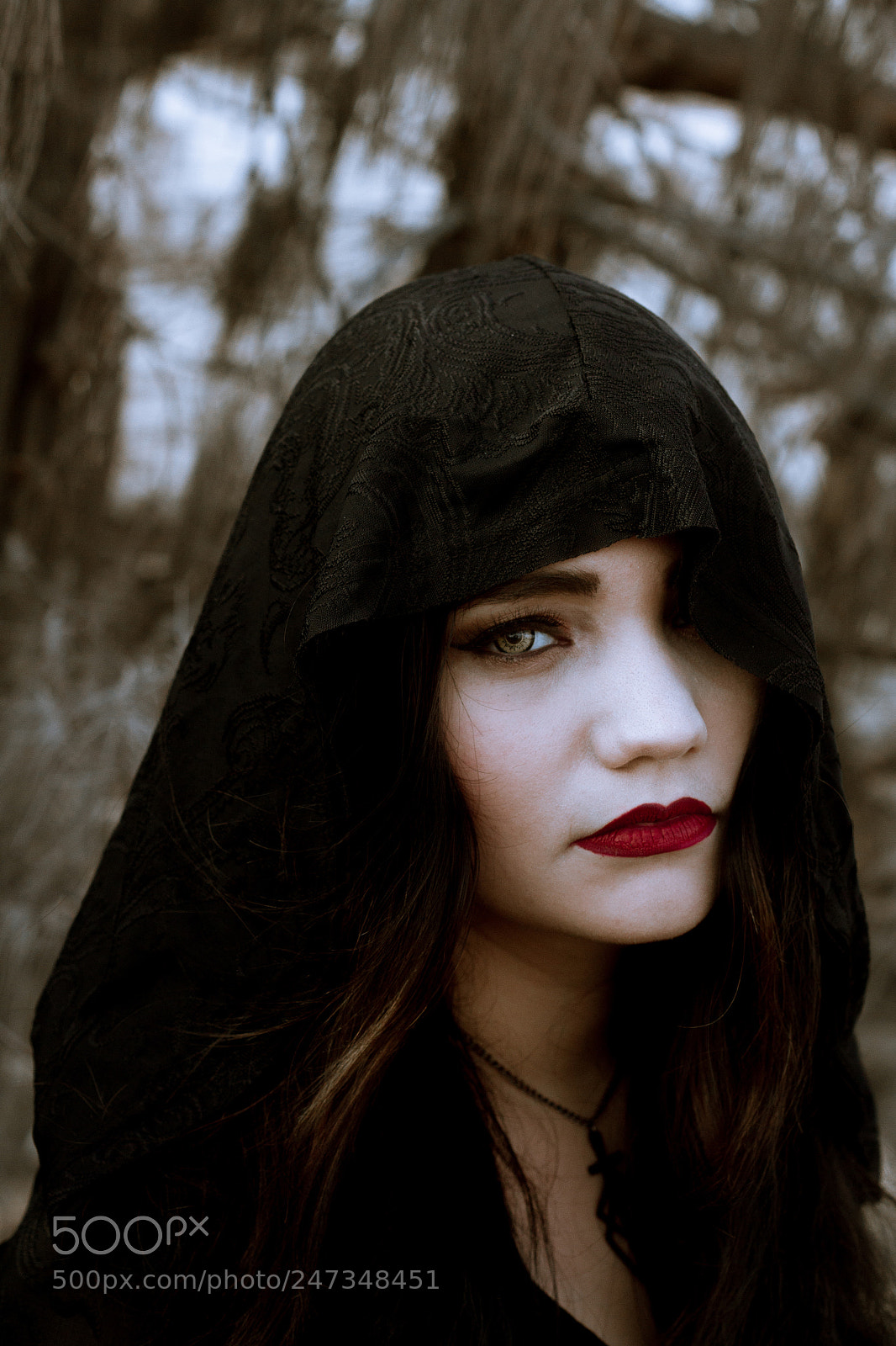 Canon EOS 7D sample photo. Witch of the west photography