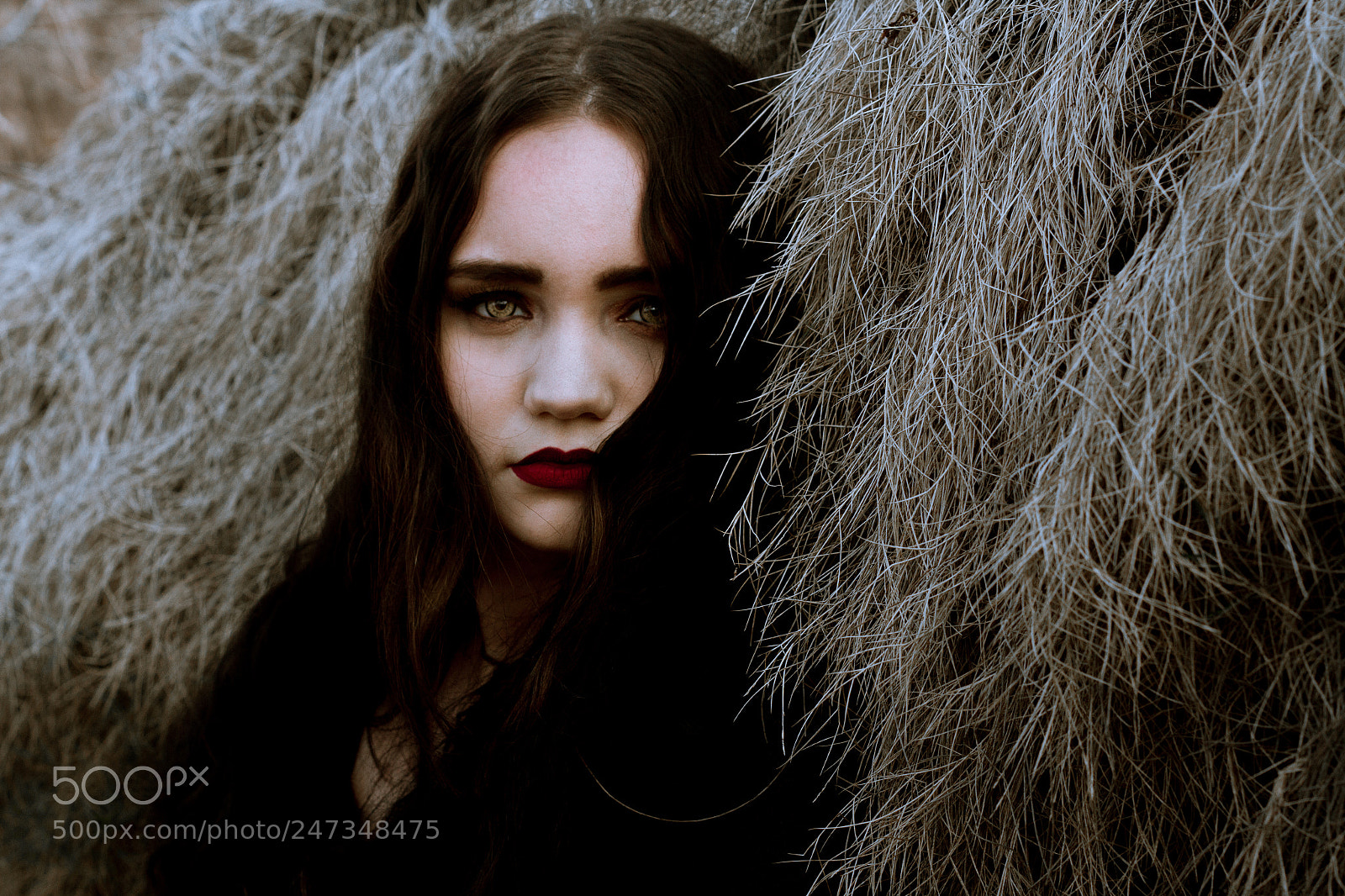 Canon EOS 7D sample photo. Witch of the west photography