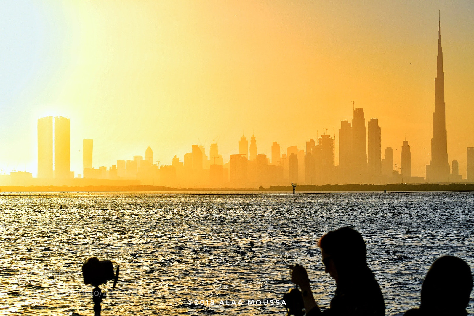 Nikon D5600 sample photo. Lining up for the photography