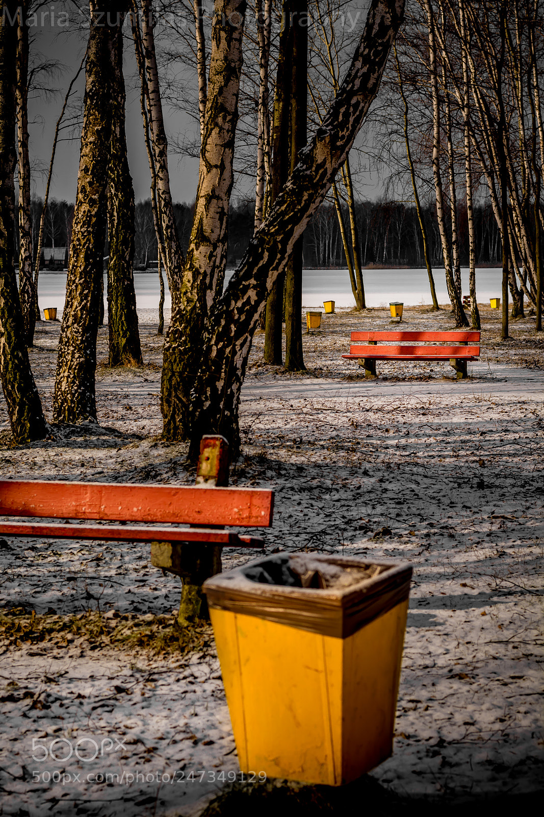 Nikon D7100 sample photo. In search of the photography