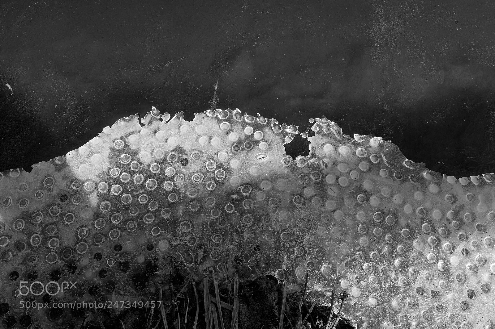 Canon EOS 60D sample photo. Ice-bubbles photography
