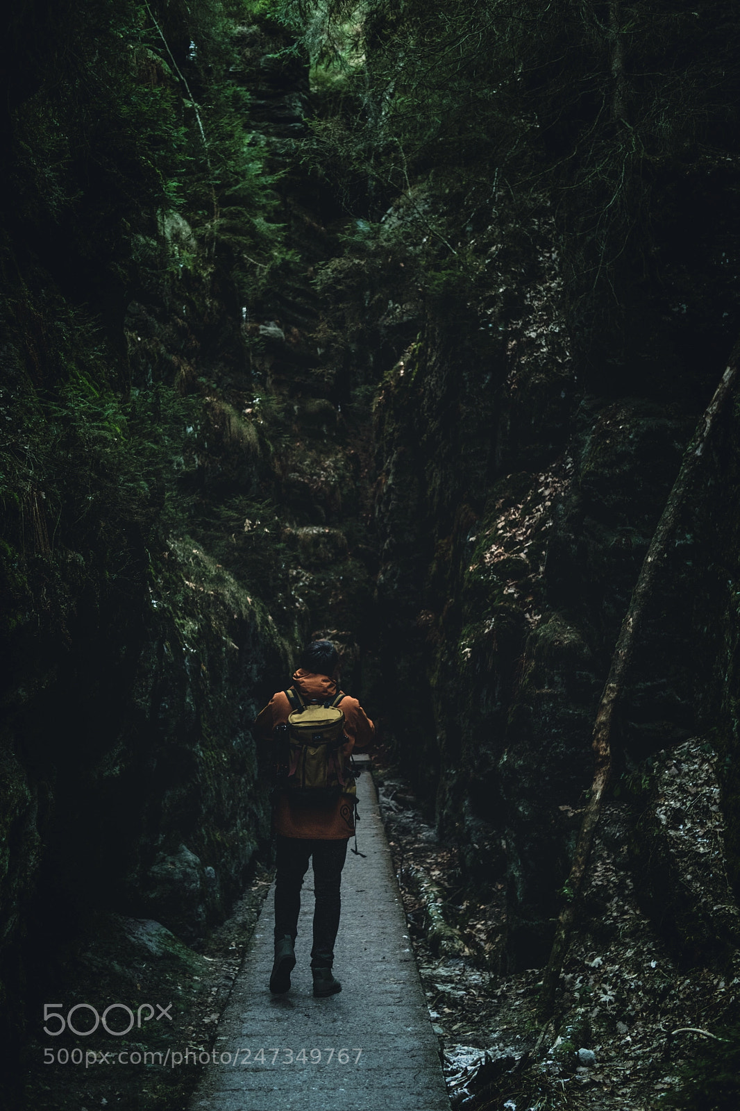 Fujifilm X-T2 sample photo. Exploring saxon switzerland, germany photography