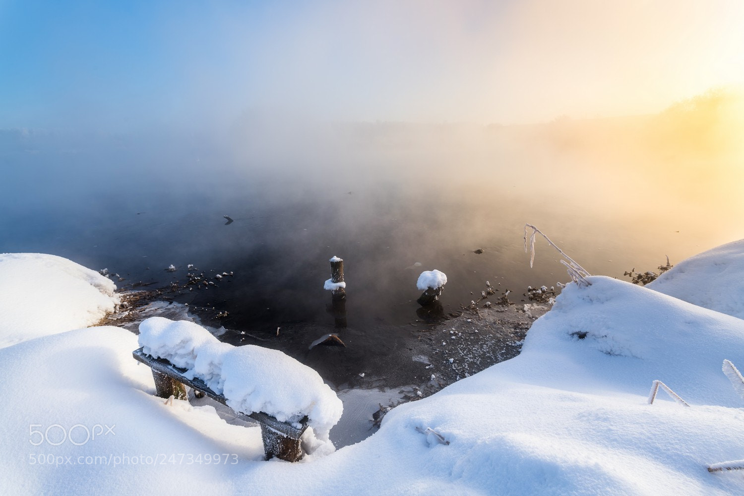 Nikon D850 sample photo. Foggy morning photography