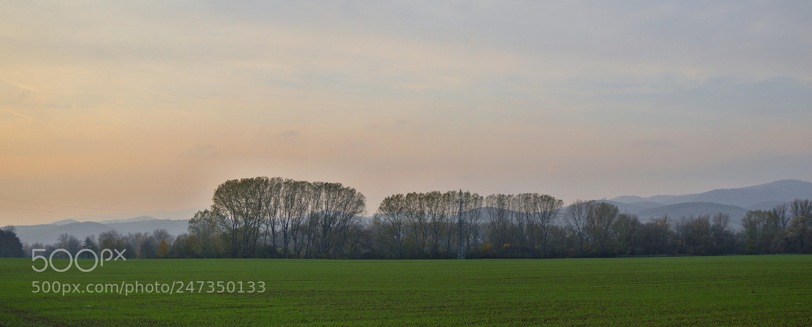 Nikon D3200 sample photo. Evening photography