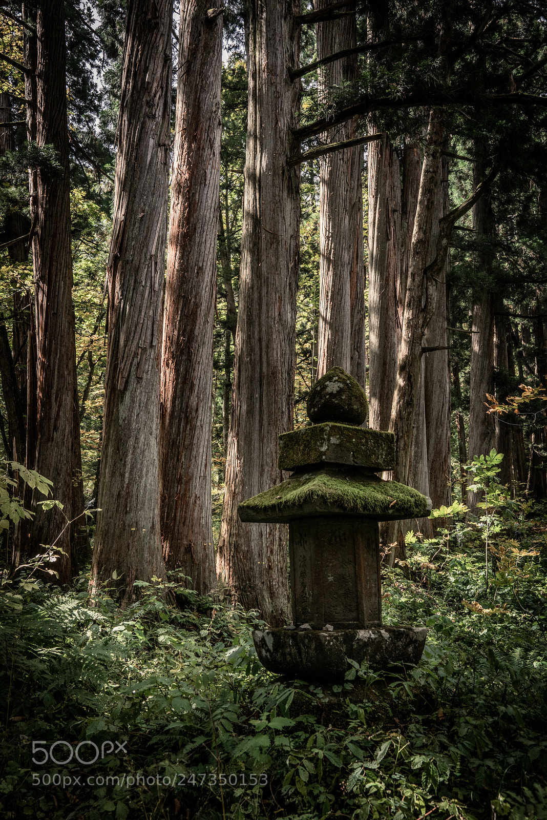 Sony a7R sample photo. Green lantern photography