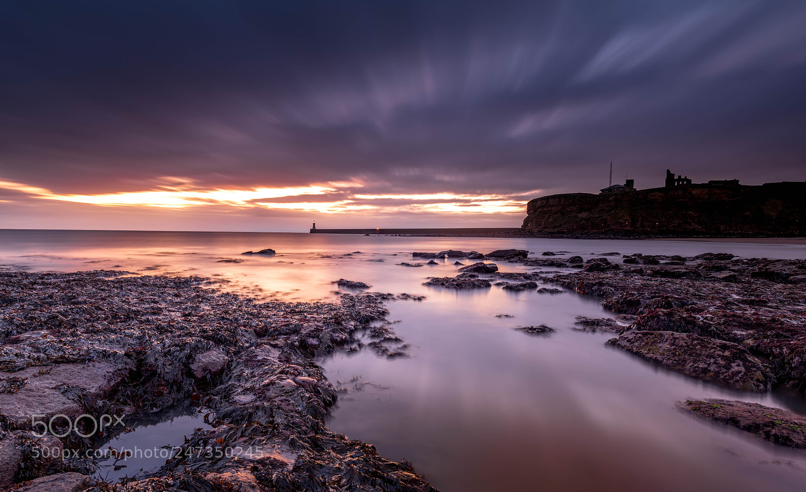 Nikon D850 sample photo. King eddie's bay tynemouth photography