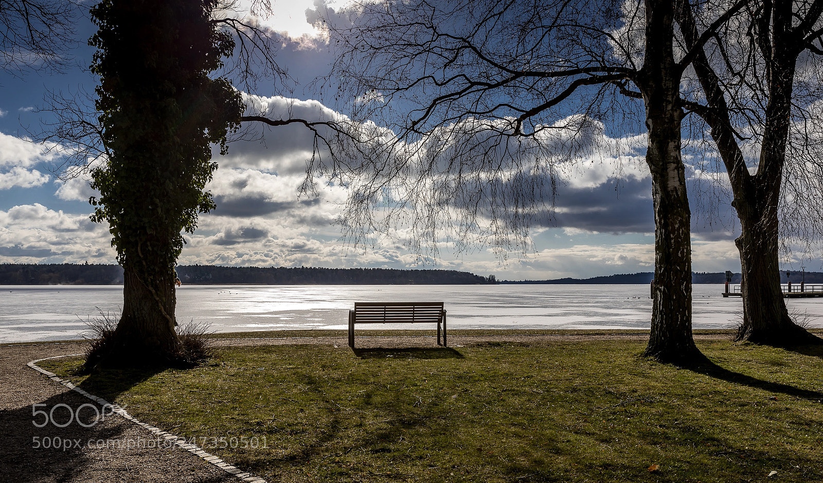 Canon EOS 5D Mark IV sample photo. Lonely bench photography
