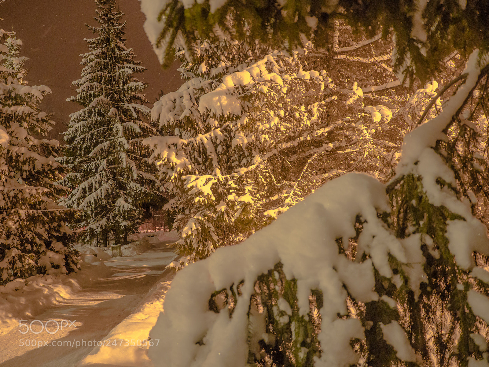 Olympus OM-D E-M10 II sample photo. A snow fairy tale photography