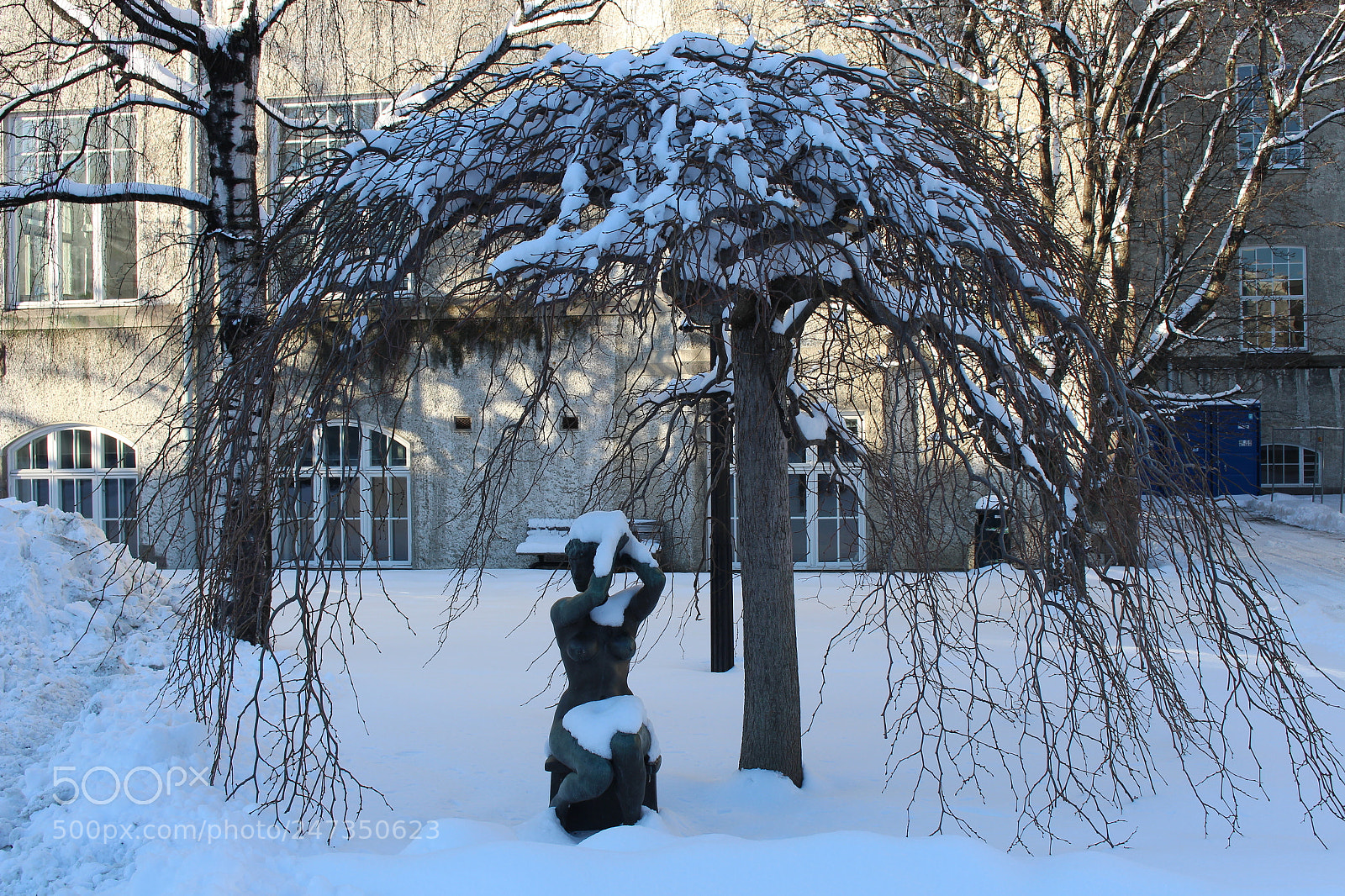 Canon EOS 700D (EOS Rebel T5i / EOS Kiss X7i) sample photo. Img photography