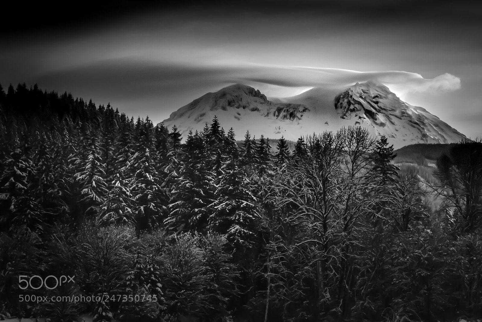 Nikon D600 sample photo. Mount rainier from ashford photography
