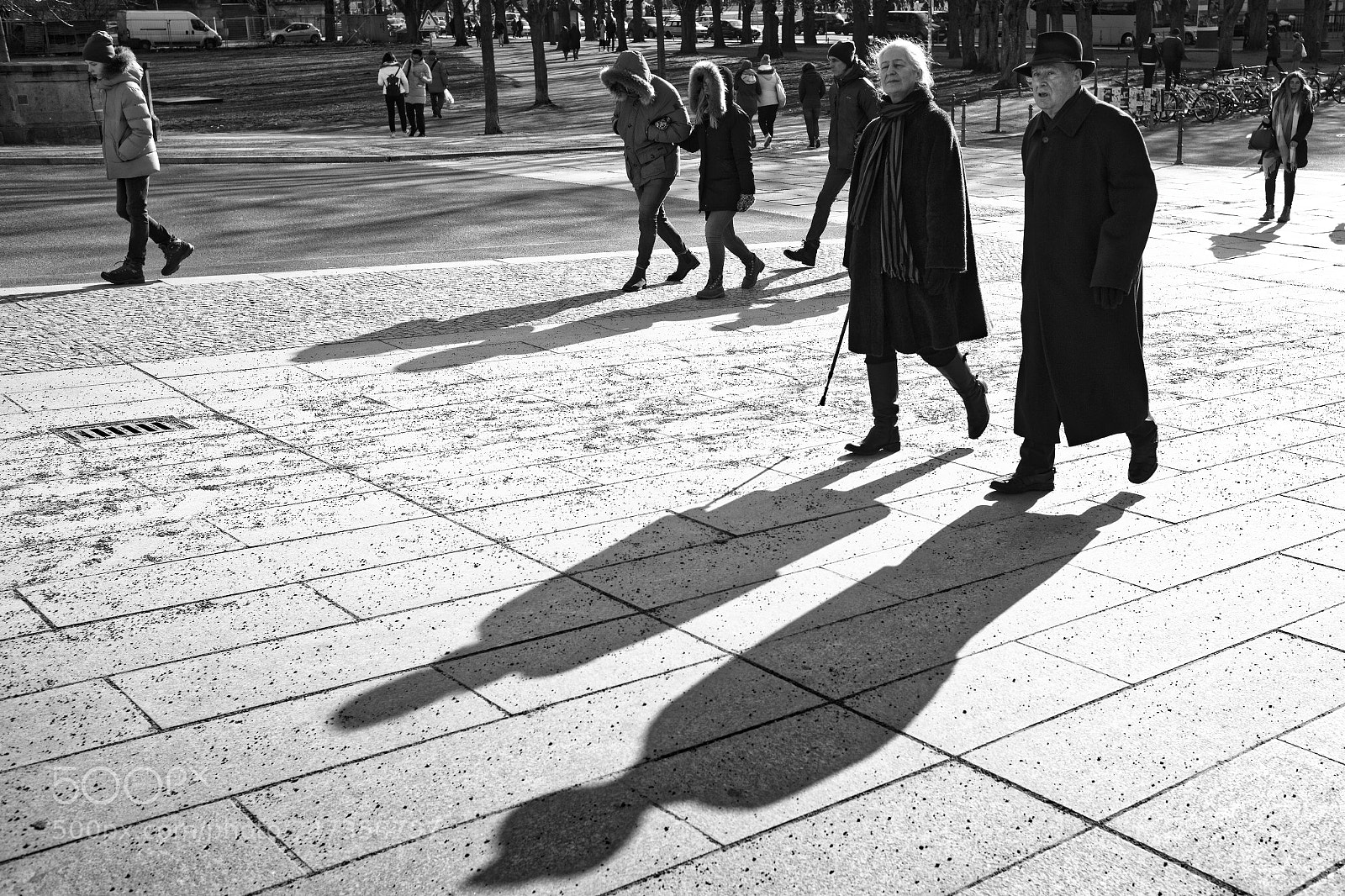 Leica M (Typ 240) sample photo. Wintersun photography