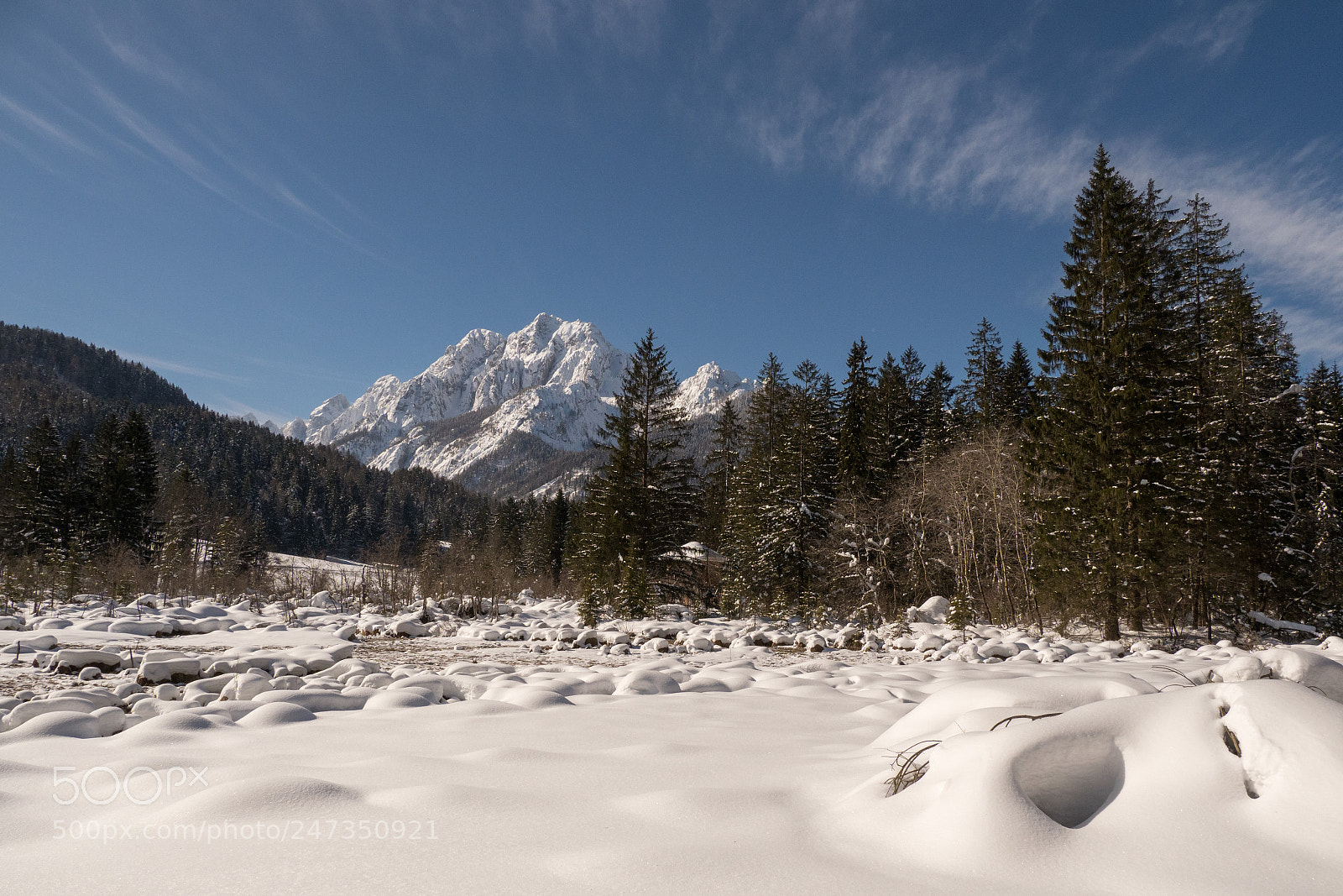 Olympus OM-D E-M1 Mark II sample photo. Zelenci photography