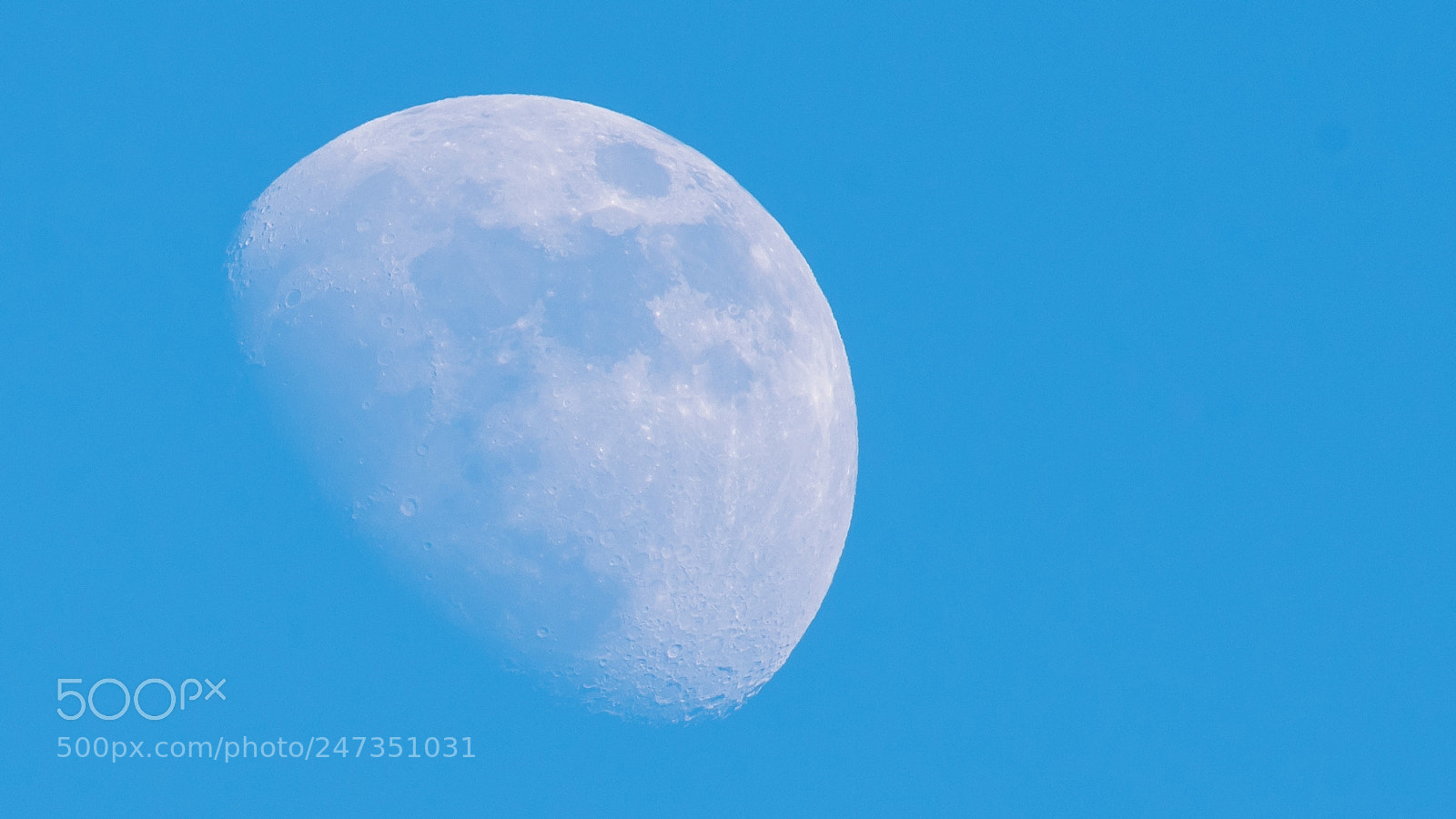 Nikon D500 sample photo. Moon by daylight photography