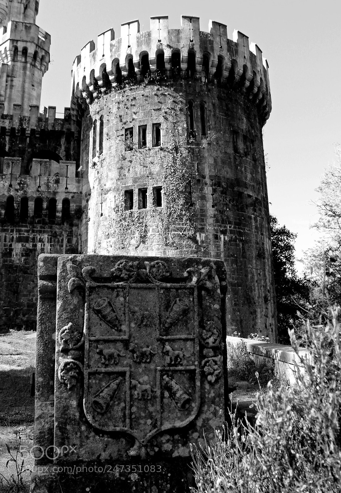 Canon EOS 550D (EOS Rebel T2i / EOS Kiss X4) sample photo. "...escudo de butrón..." photography