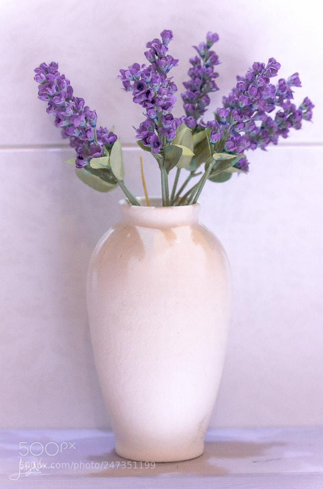Sony SLT-A65 (SLT-A65V) sample photo. Lavender photography