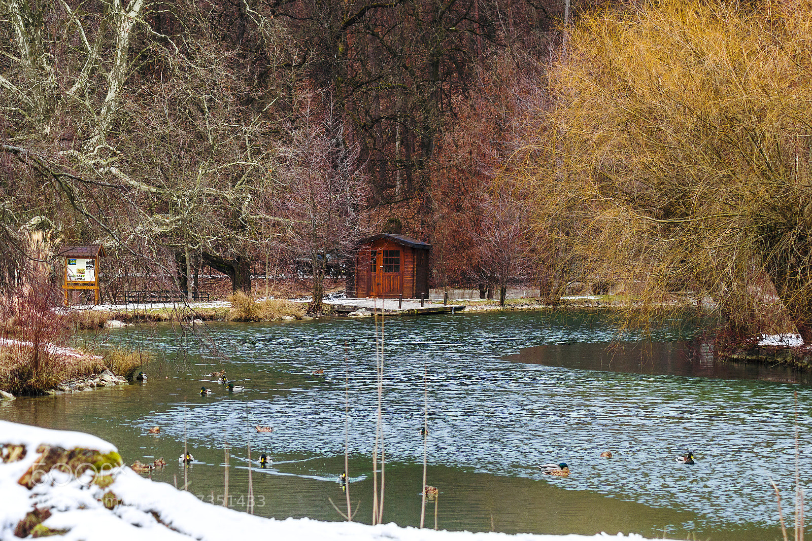 Nikon D3100 sample photo. Baracka small lake photography