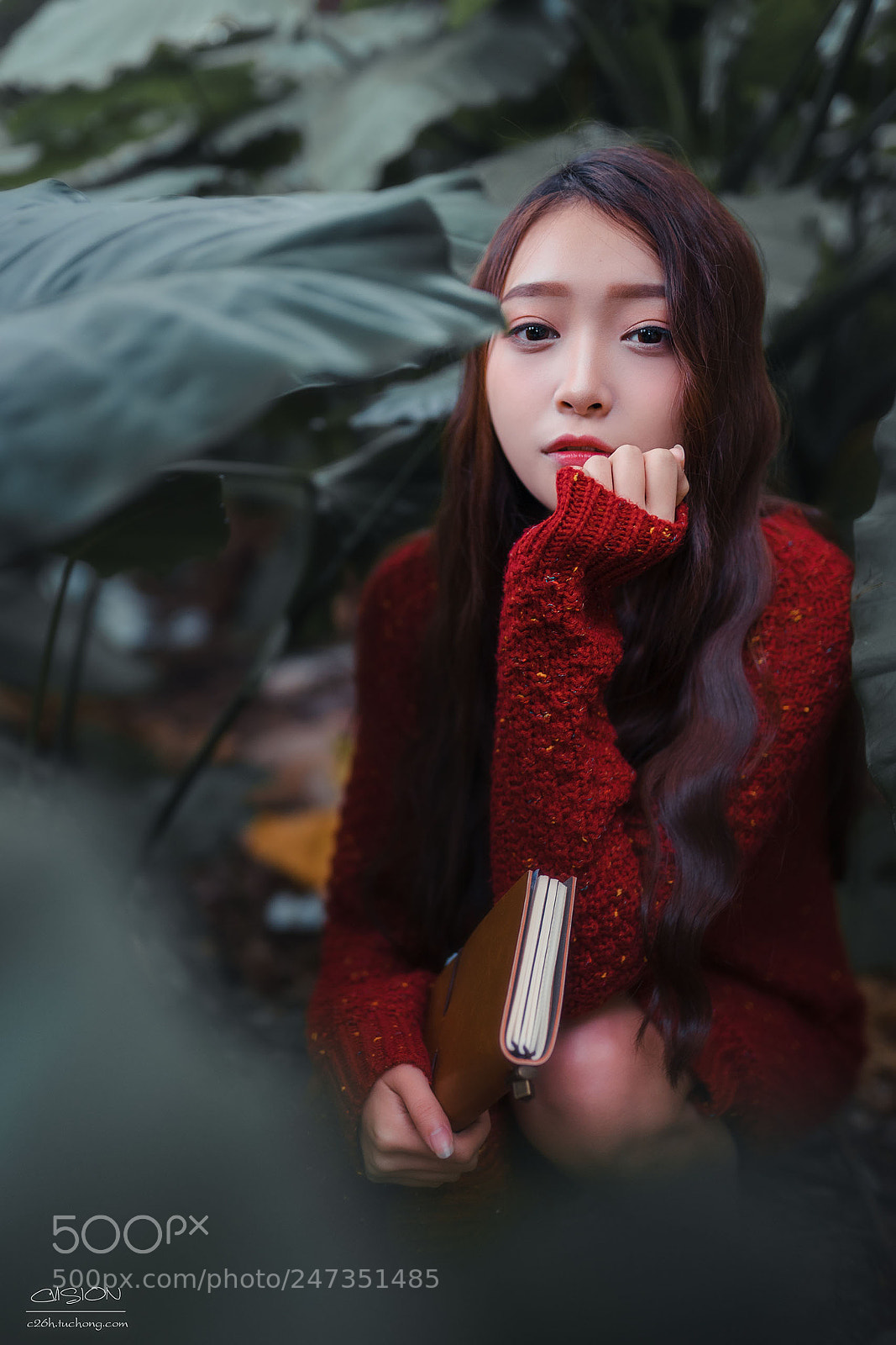 Sony a7 II sample photo. Ever7 photography