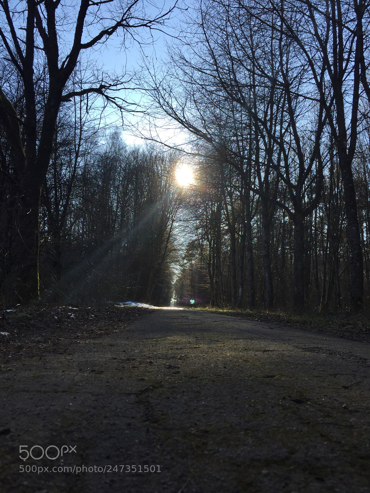Apple iPhone 6 sample photo. Sunday afternoon photography