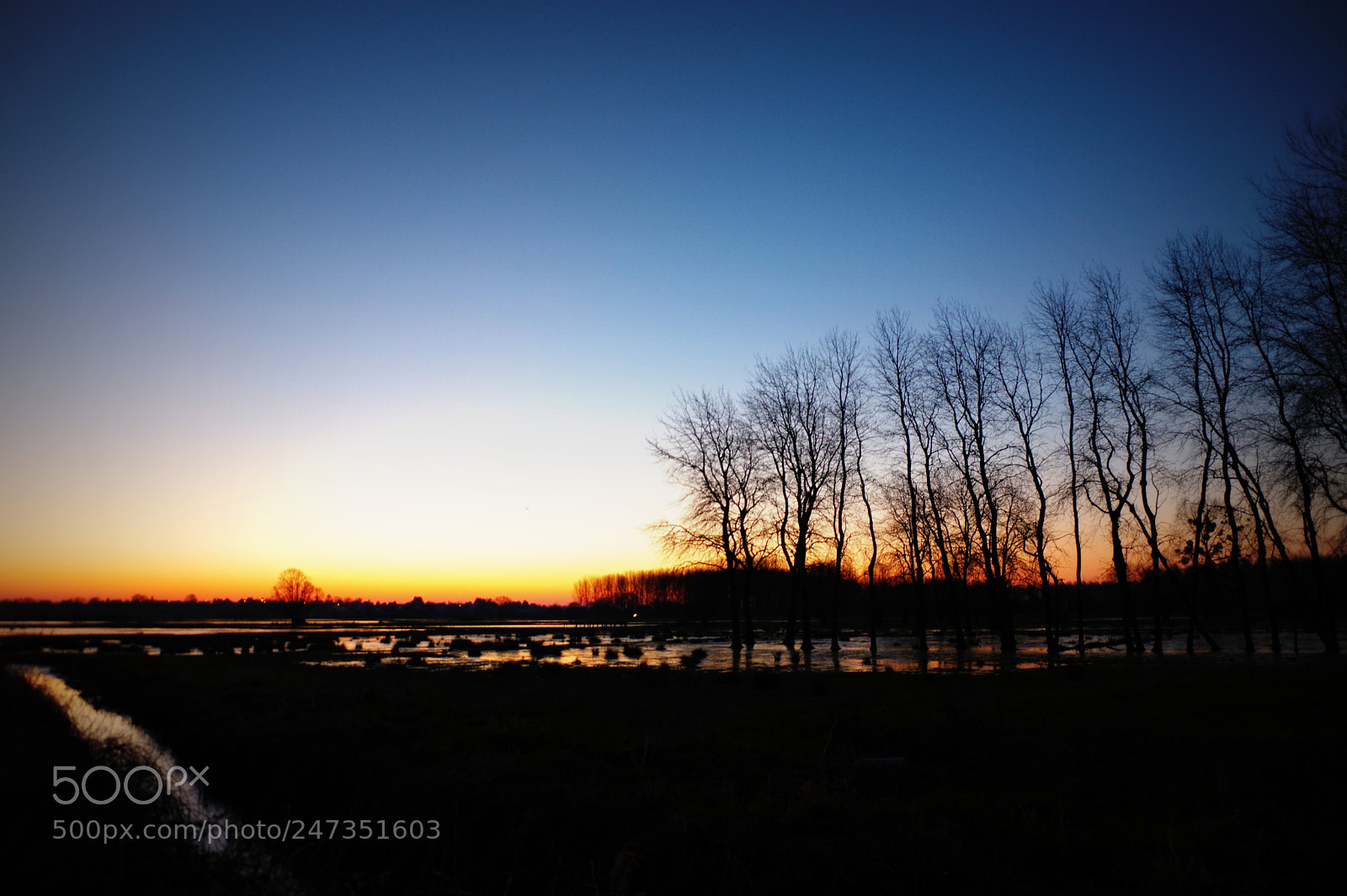 Pentax K-3 sample photo. Marais hivers photography