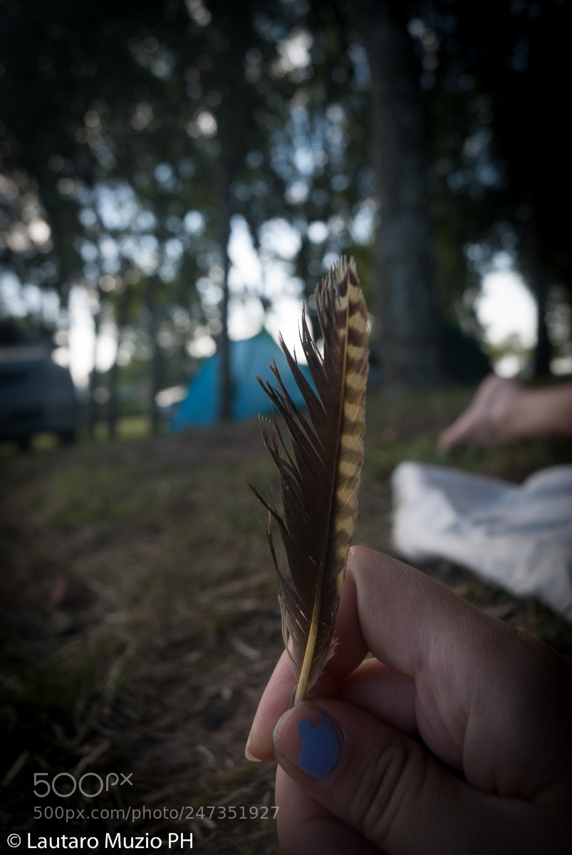Sony Alpha DSLR-A230 sample photo. Untitled photography