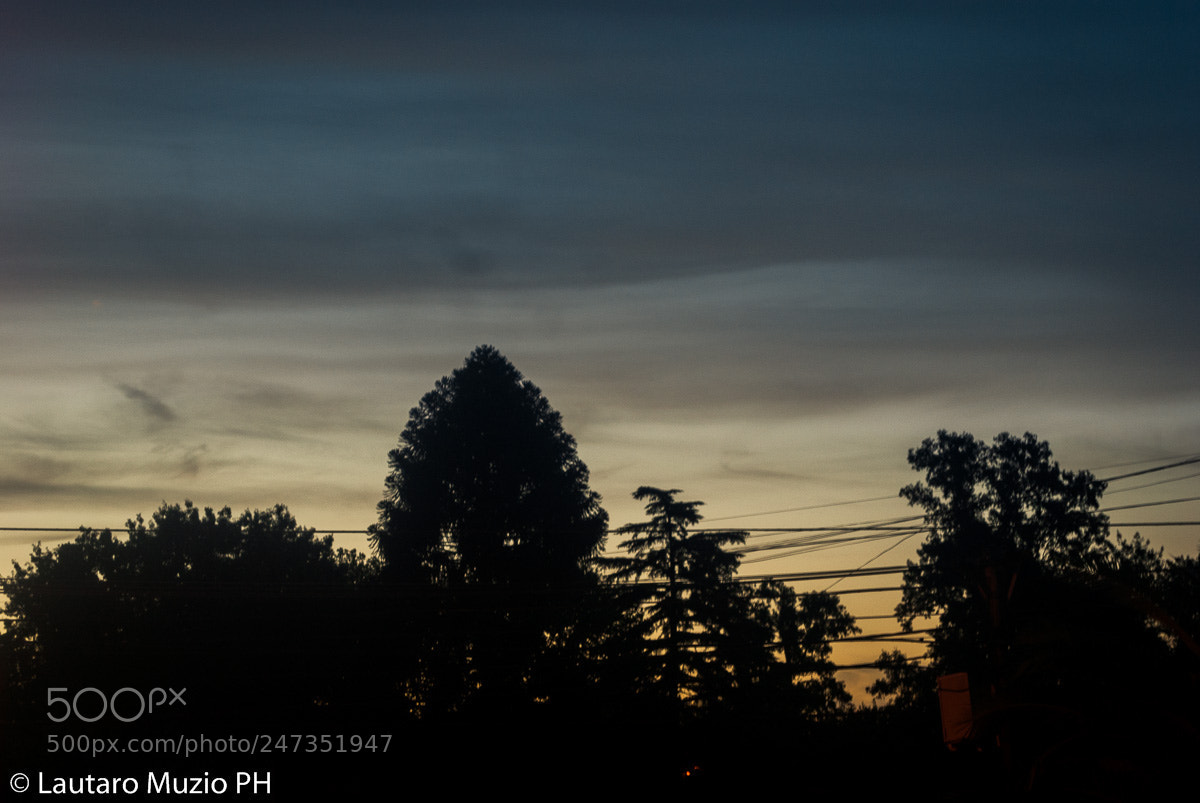 Sony Alpha DSLR-A230 sample photo. Untitled photography