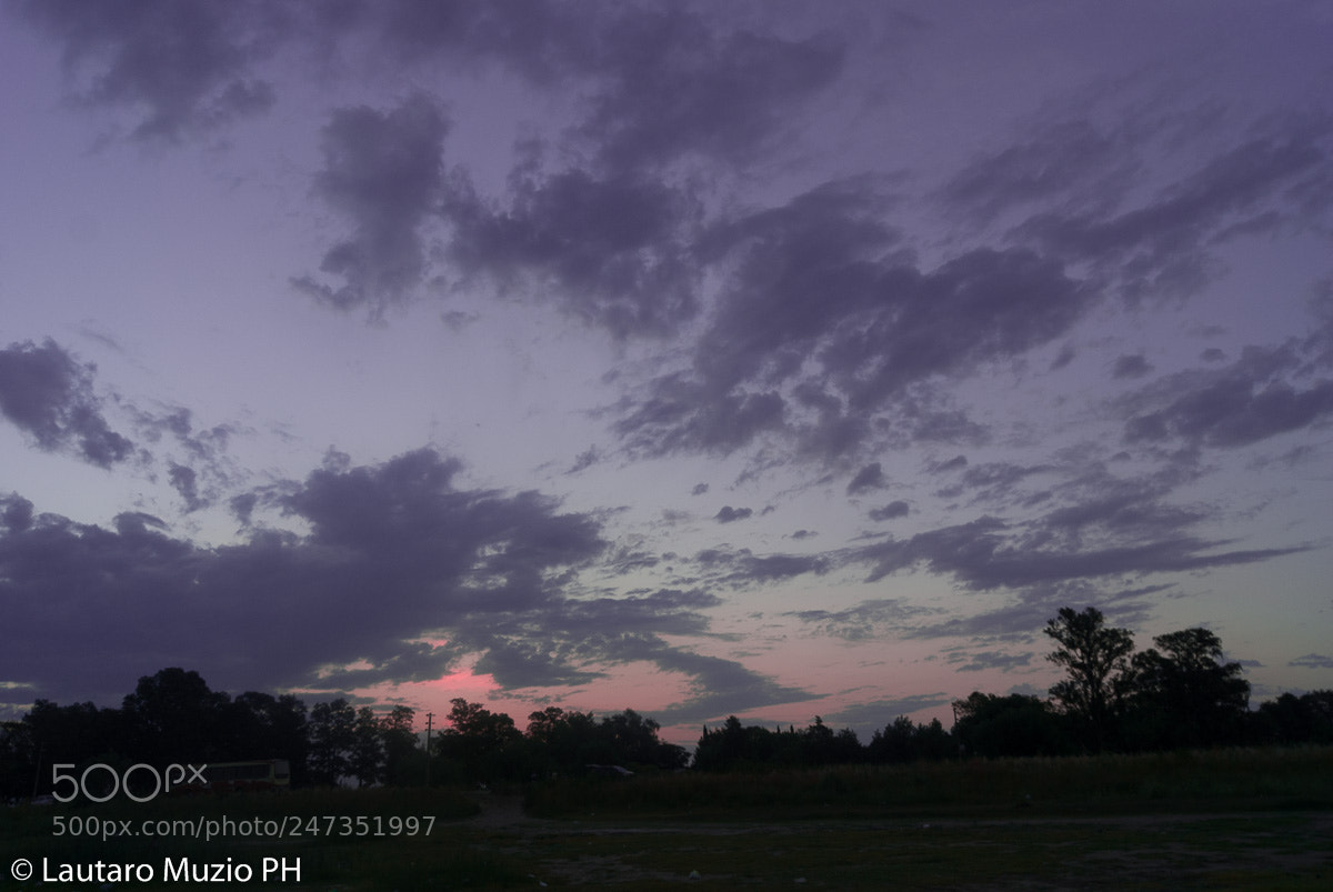 Sony Alpha DSLR-A230 sample photo. Untitled photography