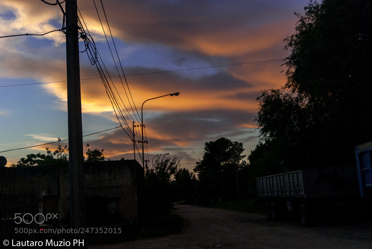 Sony Alpha DSLR-A230 sample photo. Untitled photography