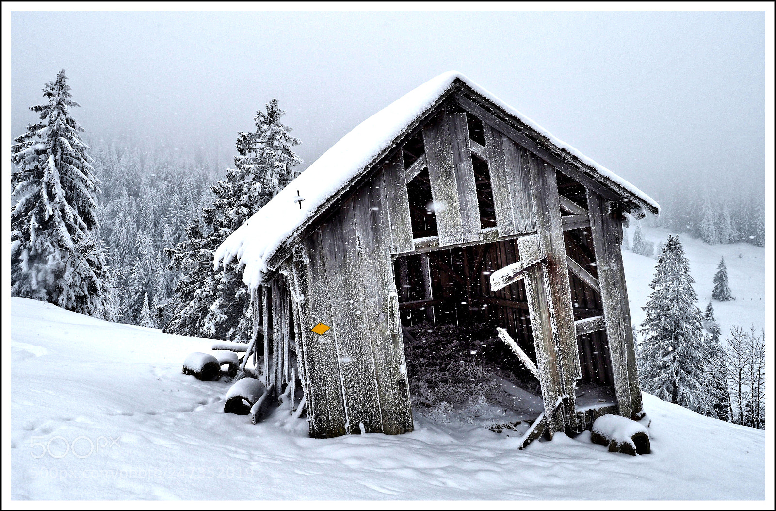 Olympus OM-D E-M1 Mark II sample photo. Jedes jahr etwas schieffer photography