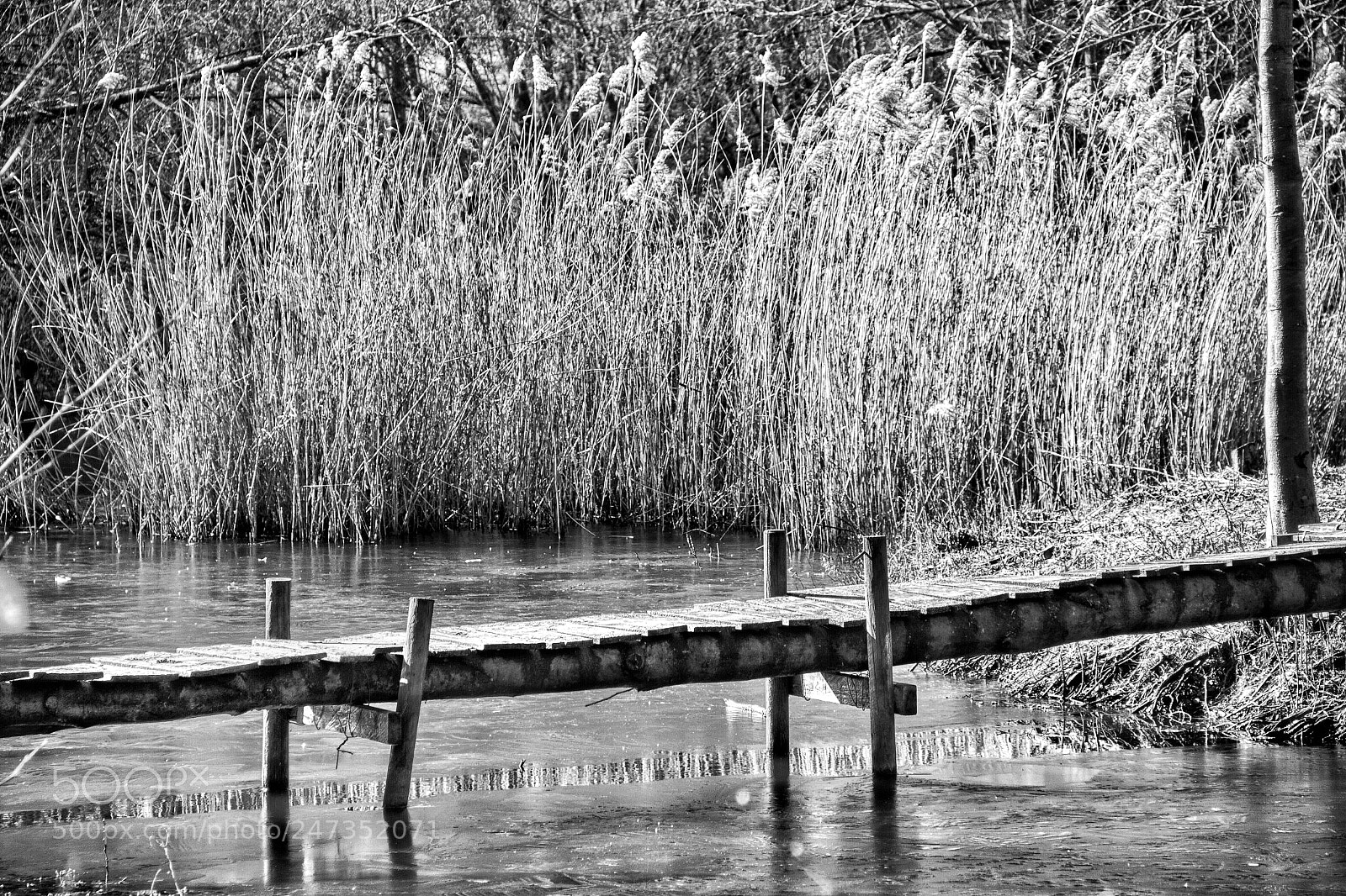 Canon EOS 60D sample photo. Lake landing photography