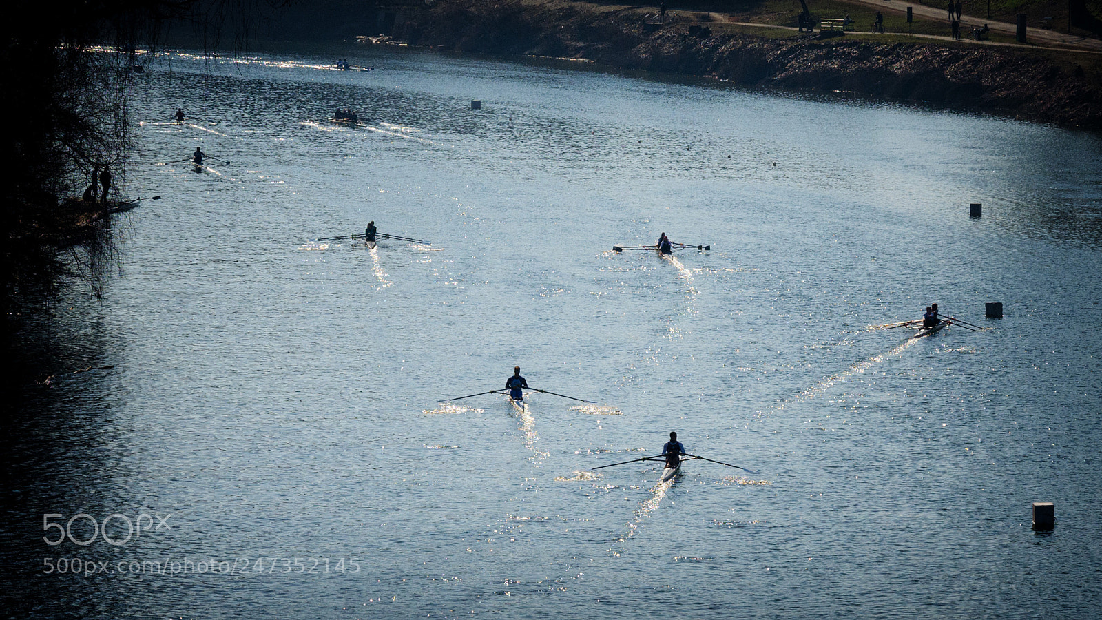 Nikon D5100 sample photo. Rowing competition photography