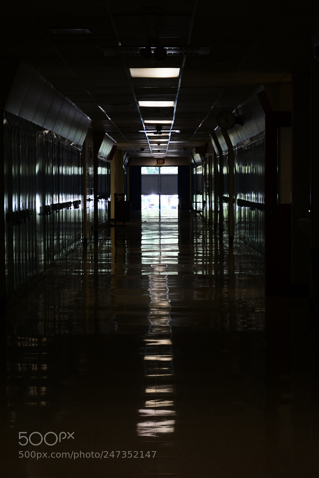 Nikon D5200 sample photo. Untitled photography