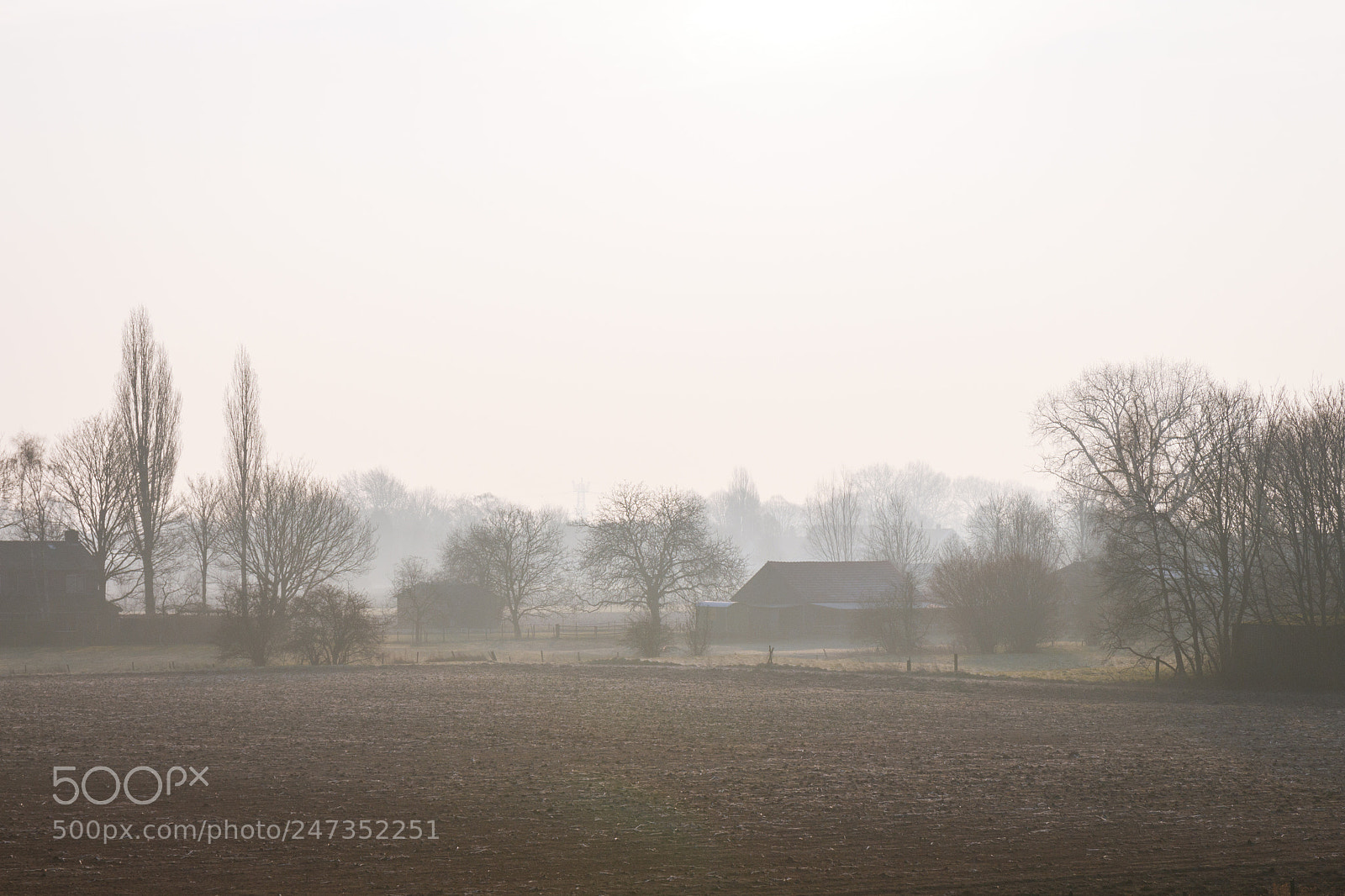 Canon EOS 700D (EOS Rebel T5i / EOS Kiss X7i) sample photo. Misty morning photography